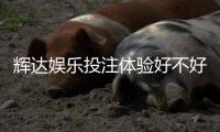 辉达娱乐投注体验好不好？资深玩家亲测真实反馈
