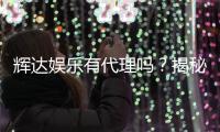辉达娱乐有代理吗?揭秘代理合作流程与优势