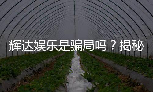 辉达娱乐是骗局吗？揭秘真相与玩家真实体验分享