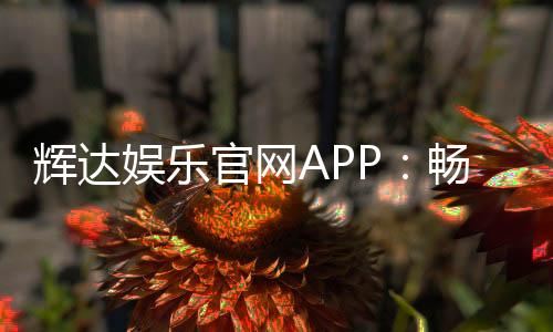 辉达娱乐官网APP:畅享顶级棋牌电游的必备神器