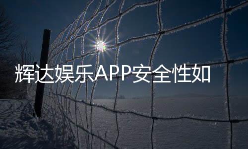 辉达娱乐APP安全性如何？深度解析平台保障措施与玩家体验