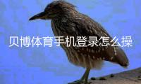 贝博体育手机登录怎么操作?安装注册、账号登录与常见故障快速解决