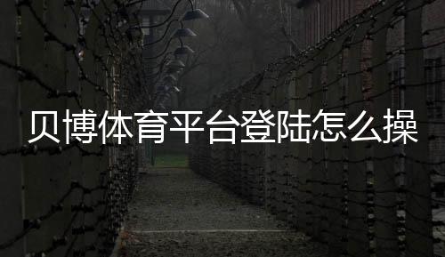 贝博体育平台登陆怎么操作?新手注册、登录与安全注意事项详解
