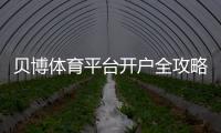 贝博体育平台开户全攻略:新手注册流程、身份验证与常见问题详解