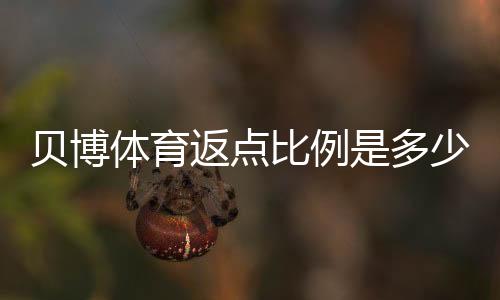 贝博体育返点比例是多少?最新返点规则与计算方法详解