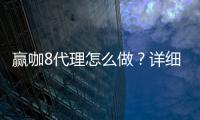 赢咖8代理怎么做?详细申请流程与盈利技巧分享