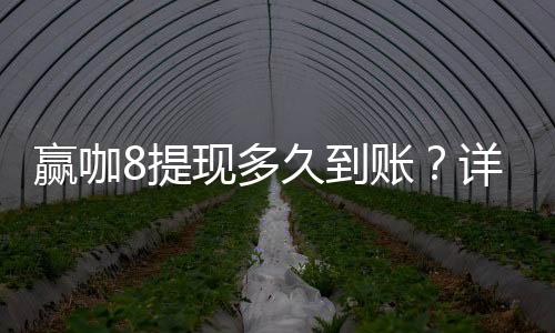 赢咖8提现多久到账？详解到账时间与提现技巧