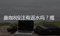 赢咖8投注有返水吗?揭秘平台返水规则与高额回馈活动