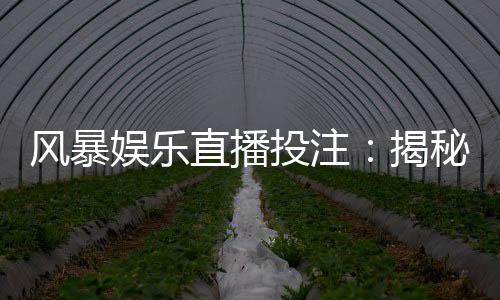 风暴娱乐直播投注:揭秘高胜率玩家的实战技巧与策略