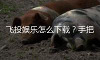 飞投娱乐怎么下载？手把手教你快速安装畅玩攻略