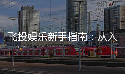 飞投娱乐新手指南:从入门到精通的实战技巧