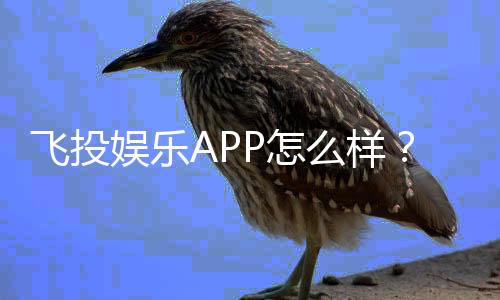 飞投娱乐APP怎么样?资深玩家亲测体验与玩法解析