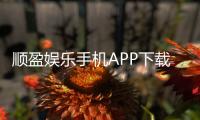 顺盈娱乐手机APP下载:畅享顶级棋牌电游的移动娱乐体验