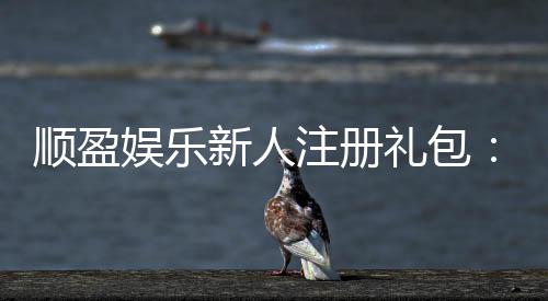 顺盈娱乐新人注册礼包:首存福利与高额返水等你拿