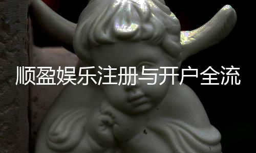 顺盈娱乐注册与开户全流程：新手必看的详细步骤与技巧分享
