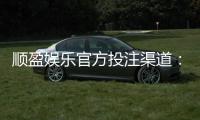 顺盈娱乐官方投注渠道:安全可靠的娱乐平台首选