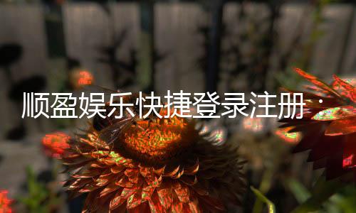 顺盈娱乐快捷登录注册:三步完成账号注册畅享顶级游戏体验