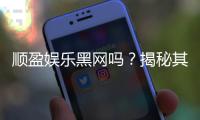 顺盈娱乐黑网吗?揭秘其真实运营内幕与玩家安全指南