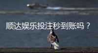 顺达娱乐投注秒到账吗?实测到账速度与平台可靠性分析