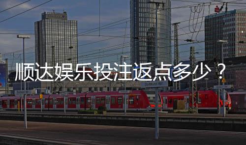 顺达娱乐投注返点多少?揭秘高返水活动与实战技巧