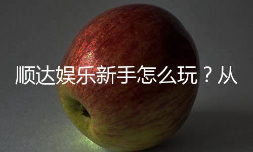 顺达娱乐新手怎么玩?从注册到赢钱的完整入门指南