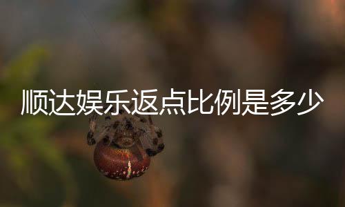顺达娱乐返点比例是多少?最新返点政策及优惠解析