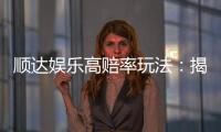 顺达娱乐高赔率玩法:揭秘稳赚不赔的实战技巧