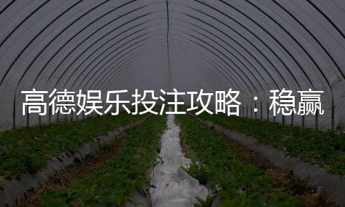 高德娱乐投注攻略:稳赢技巧与实战经验分享