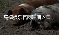 高德娱乐官网注册入口:轻松三步完成账号注册畅享游戏