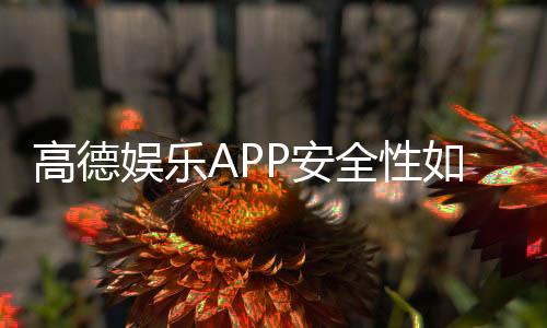 高德娱乐APP安全性如何?深度测评其资金保障与数据防护