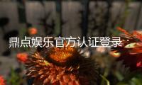 鼎点娱乐官方认证登录:安全便捷的一站式游戏平台入口