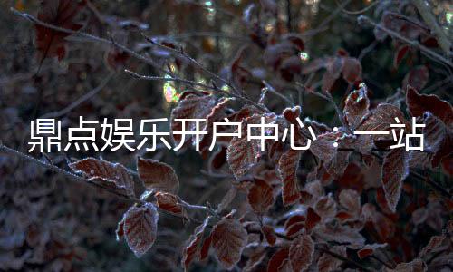 鼎点娱乐开户中心:一站式注册指南与优惠活动详解