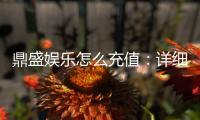 鼎盛娱乐怎么充值:详细指导策略分享