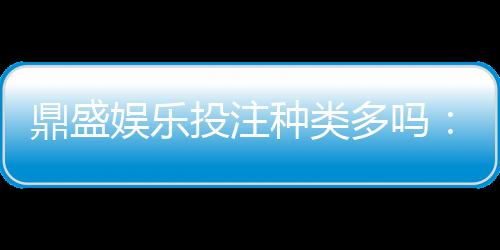 鼎盛娱乐投注种类多吗:探寻不同玩法的魅力