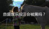 鼎盛娱乐投注会被黑吗？风险揭秘