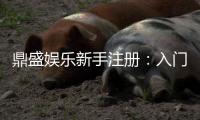 鼎盛娱乐新手注册:入门必知技巧