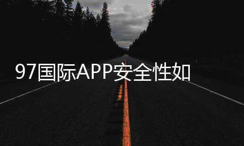 97国际APP安全性如何:专业评估与分析