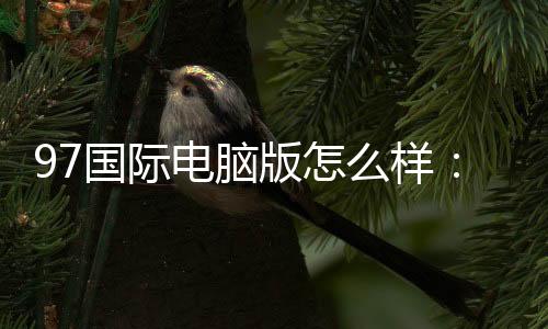97国际电脑版怎么样:专业棋牌玩家的体验分享
