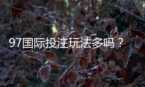 97国际投注玩法多吗?尽在这里揭晓!