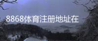 8868体育注册地址在哪里?新手快速注册流程图文教学与注意事项