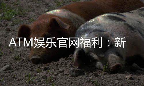ATM娱乐官网福利：新会员专享豪礼与每日惊喜活动