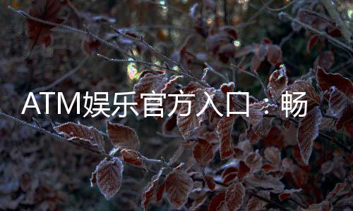 ATM娱乐官方入口:畅享顶级棋牌电游的尊贵体验