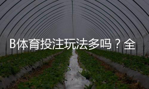 B体育投注玩法多吗?全面解析玩法种类、规则与新手投注技巧