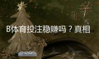 B体育投注稳赚吗?真相解析:风险评估、盈利概率与实战稳健策略
