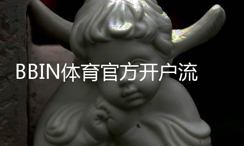 BBIN体育官方开户流程全攻略:新手注册步骤、验证与注意事项