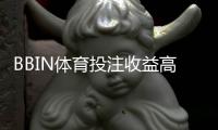 BBIN体育投注收益高吗?新手必看:回报、风险与盈利策略解析