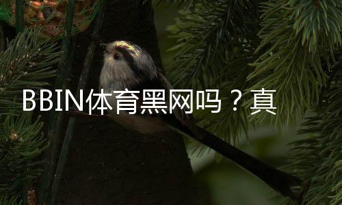 BBIN体育黑网吗?真相调查与平台信誉风险全解析