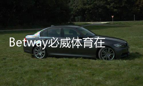 Betway必威体育在线平台怎么玩?新手注册、充值、投注与安全操作全攻略