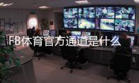 FB体育官方通道是什么?官方入口、注册登录步骤与安全注意事项全攻略