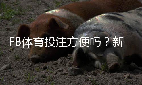 FB体育投注方便吗?新手必看操作流程、便捷性与安全性全面评测